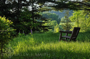 A rustic chair sits in a beautiful green meadow surrounded by dark evergreens
